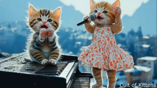 Music Video For The Song High By Kittens Cult Of Kittens
