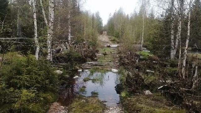 Всё из за металлокопа