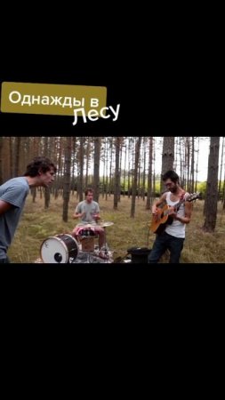 Однажды в Лесу
