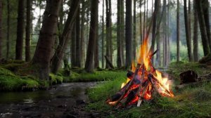 Успокаивающая лесная атмосфера с потрескивающим костром и небольшим ручьем