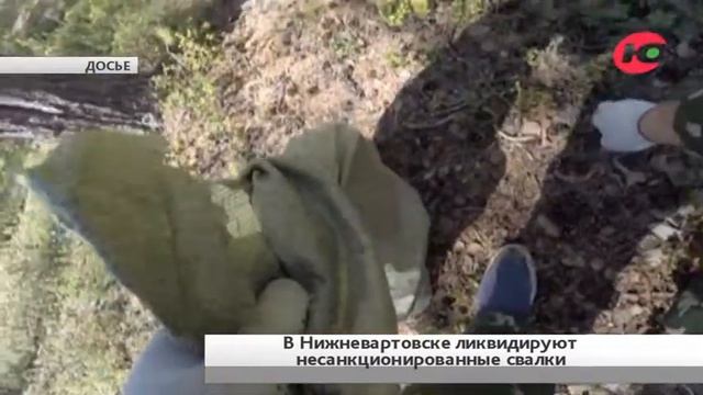 30 нижневартовских свалок ликвидируют. На эколгический проект потратят 3 миллиона рублей смотреть онлайн