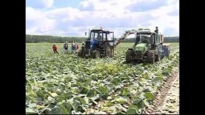 Транспортер овощеуборочный НОУТ-6 на Ленинградском телевидении