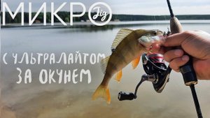 Нашел окуня на мели ► МИКРОДЖИГ