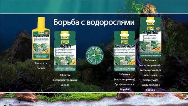 борьба против водорослей