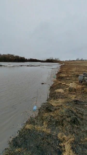 Разлив реки Сосна 