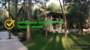 Champion Holiday Village отличный отель 5*