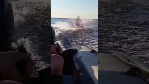 Лодочный мотор сиа про 9.8 покатушки на водной доске на ногах на седьмом винте