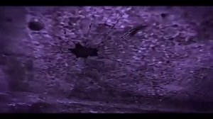 История спрингтрап  смерть Уильяма Афтона