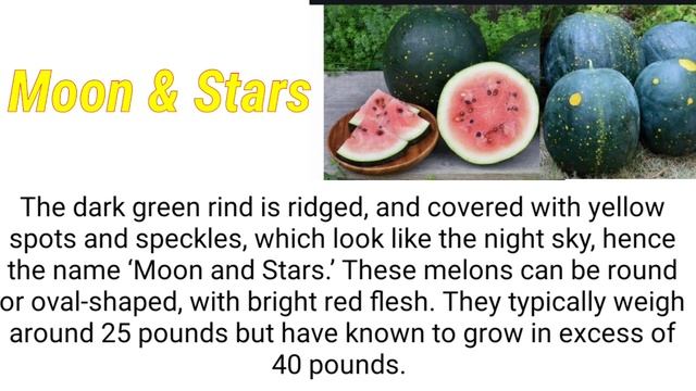 VARIETIES OF WATER MELON || #watermelon #IndayLynne