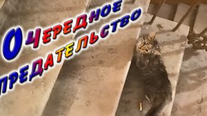 ОЧЕРЕДНОЕ ПРЕДАТЕЛЬСТВО.
