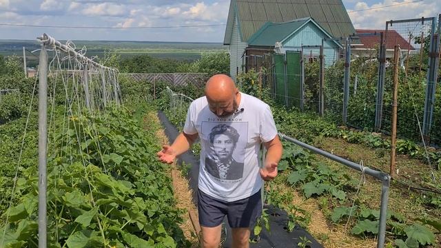 ВЫХОДНОЙ ОБЗОР #5 | (спелые ягоды, сад, огород, укрывной материал) смотреть онлайн