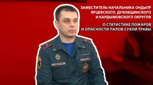 Пионер ТВ - о статистике пожаров и опасности палов сухой травы