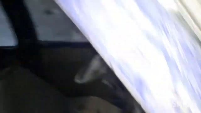 Левая сторона дамас