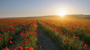 Заповеди блаженства: Блаженны нищие духом, ибо их есть Царство Небесное...