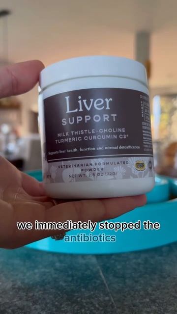 Subscribe for fun recipes and all things pet health! ❤️ #petsupplements #pets #ferapets #doghealth смотреть онлайн