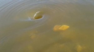 Очень страшный водовород