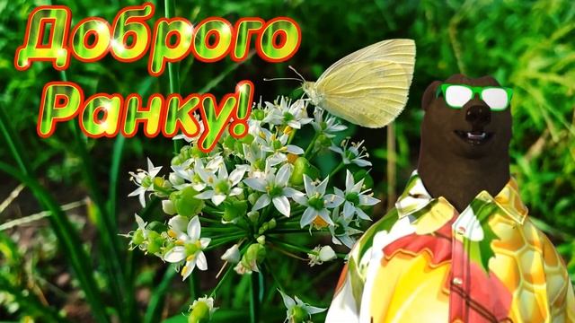 Доброго Ранку Бажаю! смотреть онлайн