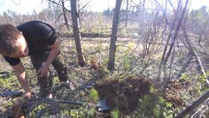 Экспедиция по старой ветке ужд! много рельс и тракторного железа.