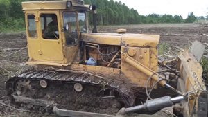 Уж  набросился на  трактор .  Расчистка полей от самосева -Бульдозер т130.