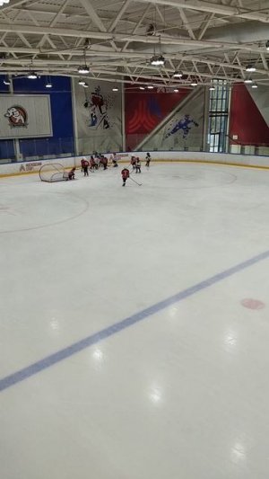 хоккей