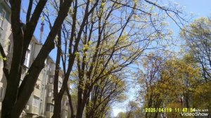 Мариуполь ⛵ как -то так!