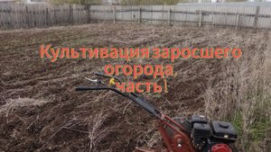 Культивация огорода ч. 1