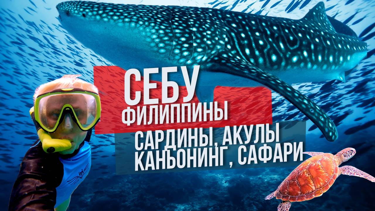 Себу Филиппины: сардины, акулы, каньонинг и сафари