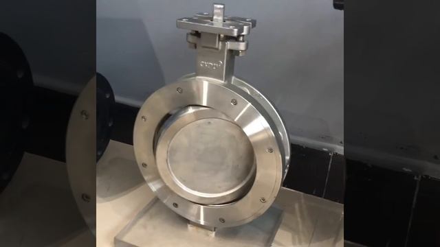 Двухэксцентриковый дисковый затвор