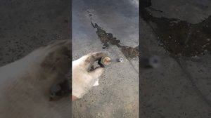 Снятие_и_установка_переднего_бампера_Лада_Х_рей