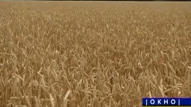 Уборочные работы в районе набирают темп смотреть онлайн