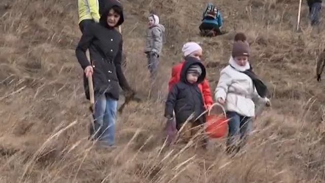 Посадка деревьев сотрудниками ОАО "СМП_Нефтегаз" г. Альметьевск смотреть онлайн