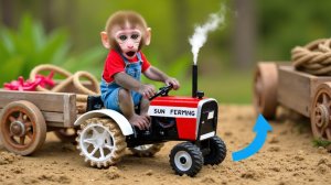 Видео для детей. Обезьянка играет и катается на игрушечным тракторе . Детям. Обезьянка. Третья серия