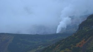 Камчатка.Пляжи, вулканы, гейзеры и медведи.