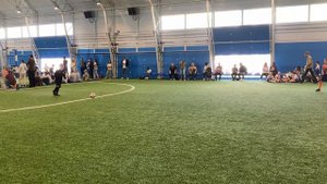 Чемпионика Реутов 1 - Добрыня тайм 2