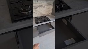 Встроенный кухонный гарнитур