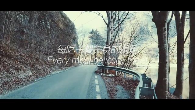 Travelling through the life.  Путешествуя по жизни. Viaggiando attraverso la vita. смотреть онлайн