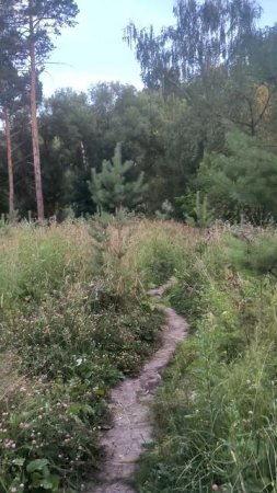 По  тропинке