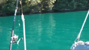 Naturists go yachting in Queen Charlotte Sound, NZ