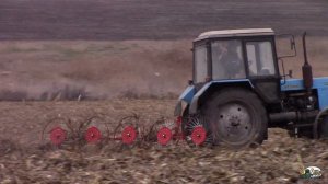 Мтз 82.1 сгребает кукурузу после комбайна для тюкований