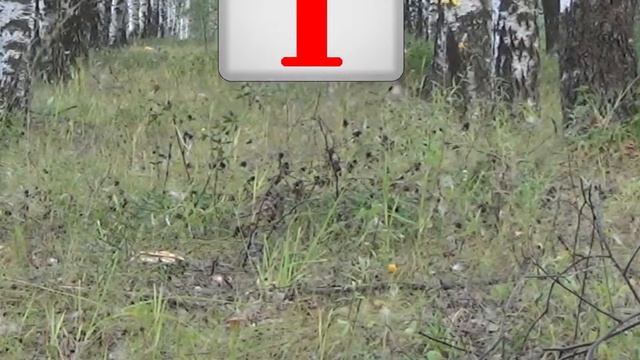 Экскаватор Петя, буква "Т", мультик про алфавит смотреть онлайн