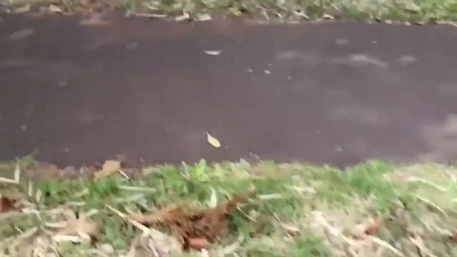 🟢🟡🔴 грузовичок Лёва 🚛 Вертолет🚁 Перевозка 🚧 🚜 синий трактор Tipper Truck🚛 Helicopter🚁 Transporting смотреть онлайн