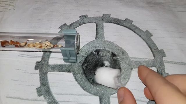 Новости о моих муравьях. -1, осталось 2 :( смотреть онлайн