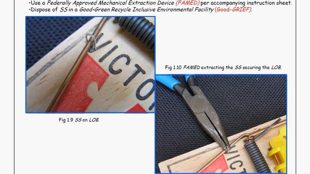 How To Set A Spring Loaded Mouse Trap смотреть онлайн