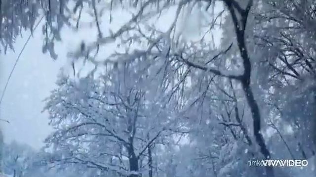 ШУДЫРАН КАВАШТЕ ЛУМ смотреть онлайн