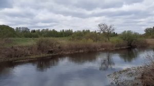 Подумайте над тем, что Вы будите есть и пить. Доктор Лопатин Евгений Борисович (Мытищи. Никадент)