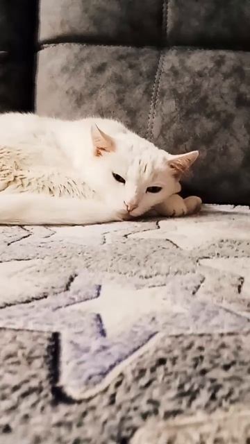 2 марта 2024 г. смотреть онлайн