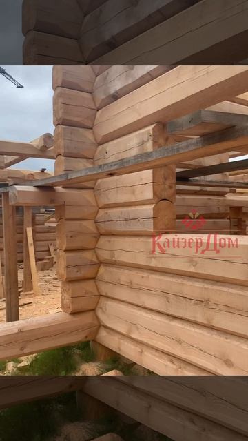 Сруб дома из Лафета в производстве. смотри что будет смотреть онлайн