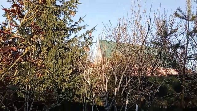 Образование и обучение Звездного Братства, 2 часть. Универсолис.Одесса. Мир Универсологии