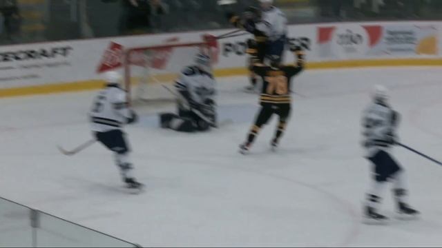 #297 Rimouski Océanic 5 Victoriaville Tigres 8 - 16 12 2023 смотреть онлайн