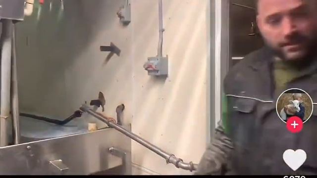 Этот безумный, безумный западный мир смотреть онлайн